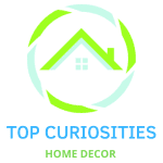 Logo 500 Top Curiosities